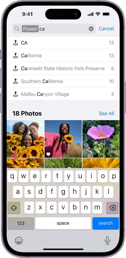 Apple Photos iOS 17 — Search with autocomplete suggestions. © Apple Inc. Used for educational illustration under fair use.